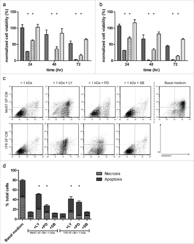 Figure 8. Inhibition of the melanoma-specific survival effect (a,b). Effect of pathway inhibitors on endothelial cell (EC) survival. ECs were treated with < 1 kDa fractions of (a) Mel57 or (b) 1F6 SF-CM, in the presence of PI3 kinase inhibitor (LY294002), MEK inhibitor (PD98059) or p38 MAPK inhibitor (SB203580) and long-term survival under hypoxia was monitored (< 1 kDa SF-CM: Display full size; + LY294002, 50 µM : Display full size; + PD98059, 20 µM: Display full size; + SB203580, 10 µM: Display full size). Normalized cell viability (%) in (a,b) is expressed relative to survival of basal medium (serum-free DMEM) treated ECs at 24 h normoxia and represent mean ± SEM of three independent experiments, conducted in triplicate. All inhibitor treated samples were compared to treatment with melanoma SF-CM < 1 kDa treatment. *p < 0.05. (c,d) Bivariate FACS analysis of ECs treated with pathway inhibitors. (c) Representative dot plots of ECs treated with < 1 kDa melanoma SF-CM fraction with or without pathway inhibitors, and basal medium (serum-free DMEM) at 12 h of hypoxia. Treated cells were stained with Annexin V (X-axis) and Propidium Iodide (PI, Y-axis) and subjected to flow cytometry analysis to determine percentages of apoptotic, necrotic, and viable cells. (d) Relative percentages of apoptotic and necrotic ECs with different treatments at 12 h hypoxia. Data are derived from three independent experiments. *p < 0.05.