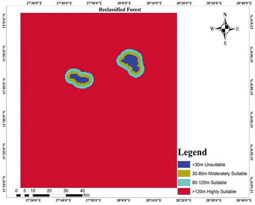 Figure 8. Reclassified Forest