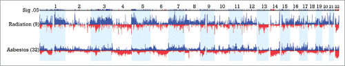 Figure 4. Significant regions of gains (blue) and losses (red) in radiation- associated versus asbestos-associated epithelioid MM. CNAs between 9 post-radiation MM cases and 32 post-asbestos cases are displayed with regions significant to p <0.05 and a difference threshold greater than 33% flagged in the upper row labeled Sig .05. Note the elevated proportion of radiation-exposed MMs with extended regions of chromosomal gain in 1q, 3q and 5p relative to asbestos-exposed tumors. Additionally, there is an elevated proportion of asbestos-associated MMs with extended or multiple regions of chromosomal loss in 6q, proximal 14q and 22q relative to that observed in post-radiation cases of MM.