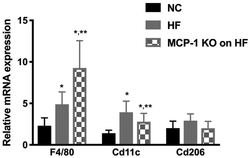 Figure 3. Whole ovary mRNA quantification for macrophage markers.