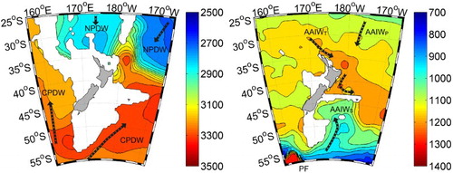 Figure 2. Maps of the depth (metres) of the calcite saturation horizon (left) and aragonite saturation horizon (right) for the New Zealand region, developed from MLR algorithms (Bostock, Mikaloff-Fletcher, et al. Citation2013; Bostock et al. Citation2015). Key to currents: AAIW, Antarctic Intermediate Water; PF, Polar Front; NPDW, North Pacific Deep Water; CPDW, Circumpolar Deep Water. (Reprinted by permission from Elsevier Deep Sea Research)
