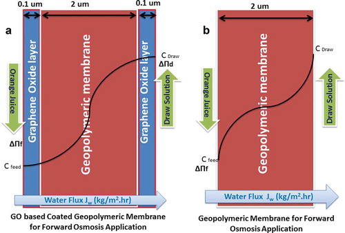 Figure 2. (a) Coated geopolymeric membrane with graphene oxide (GO). (b) Uncoated geopolymeric membrane