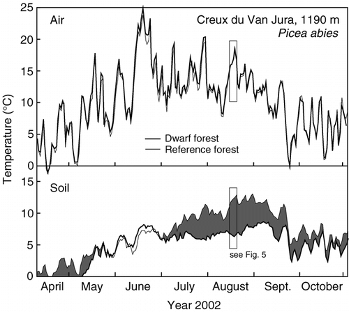 FIGURE 3.  Annual course of air and ground temperature (10 cm depth) at the Creux du Van dwarf tree location and a nearby reference spruce forest