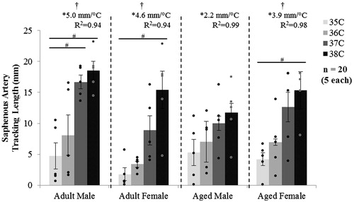 Figure 6. MRI tracking length of the saphenous artery for male and female, adult and aged mice at core temperatures of 35, 36, 37 and 38 °C (n = 5 each). The tracking length increased with increased temperature. Significance set at p < 0.05 for temperature effect overall (†), pairwise comparisons between temperatures within a group (#) and non-zero slope (*).