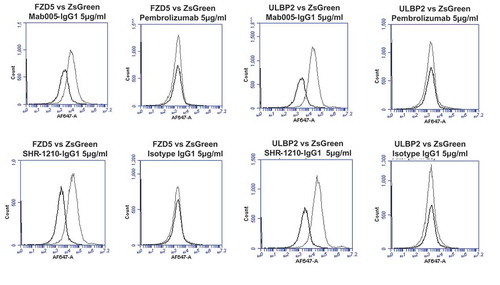 Figure 2. Specificity analyses by flow cytometry using transiently-transfected HEK-293 cells.Analyses of binding specificity were performed on HEK-293 cells transiently transfected with plasmids encoding either (A) human PD1, human VEGFR2, (B) human FZD5, human ULBP2. All plots show the target of interest transfected (grey line) versus ZS green marker-only transfected cells (black line). Transfected cells were stained using Mab005-IgG1, SHR-1210-IgG1, Pembrolizumab IgG1 null analog, and isotype IgG1. Each antibody was used in repeat staining at 5 μg/ml. These analyses confirmed that all antibodies (other than the isotype control IgG1) exhibited binding to PD1, but no antibody exhibited measurable signal on ZS-green transfected cells. Both Mab005-IgG1 and SHR-1210-IgG1 also exhibited strong binding to all targets, while the isotype IgG1 and Pembrolizumab analog did not.