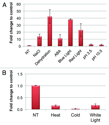 Figure 3. qRT-PCR analysis showing the expression levels of OsABP in two weeks-old rice plants grown in greenhouse and challenged with different abiotic stresses; (A) 200 mM NaCl, dehydration, 100 µM ABA, blue and red light, pH 3.5 and 10.5; (B) cold (4°C), heat (42°C) and while light; NT, non-treated. The relative expression is presented as fold change to control. Values are expressed as means ± SD of three independent replicated plants.