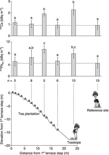 Figure 2  Cross-section of the studied tea plantation and total radionuclide inventories along the slope (n, number of replicate soil cores). Error bars represent standard deviation and the letters a, b and c indicate statistically significant differences (anova, Duncan's test, α = 0.05).