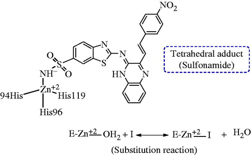 Figure 7. Proposed mechanism of inhabitation of carbonic anhydrase: by binding to the ZN2+ ion of the enzyme by substituting non-protein zinc ligand, t generate a tetrahedral adduct.