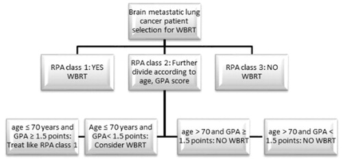Figure 3. Diagram for the selection of brain metastasized lung cancer patients who should receive WBRT.