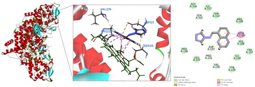 Figure 6. Molecular docking analysis for compound 9.