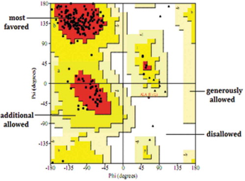 Figure 4. Validation of the homology model by Ramachandran analysis.