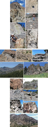 Figure 6 Outcrop photos of the selected key features in the Sierra Nevada palaeocanyons. (a) Unconformity 1, showing the rugged palaeorelief carved into the Mesozoic mesozonal granitic rock below; Tertiary volcanic–volcaniclastic rocks above. Photo taken on the southeast side of Stanislaus Peak. (b) Sequence 1 weakly welded Oligocene ignimbrite, erupted from the central Nevada; note the small size of flattened pumices, which is typical of these distal ignimbrites. (c) Unconformity 2, cut into sequence 1 Oligocene ignimbrites (not visible in photo) and overlain by Miocene andesitic volcaniclastic rocks with a basal lag of well-rounded granitic cobbles and boulders. Granitic clasts are very rare in the Miocene volcanic–volcaniclastic section, except along the unconformities. (d) Sequence 2 avalanche blocks composed of block-and-ash-flow tuff (yellow), enclosed in debris flow deposits at Carson Spur (map unit Tfdf, interstratified fluvial and debris flow deposits, Figure 2 of Busby et al. (Citation2008a)). The avalanche blocks were derived from a 15 Ma hornblende trachyandesite block-and-ash-flow tuff preserved at the modern Sierran crest, 8 km up-palaeocanyon (Thaba1 of Hagan et al. (Citation2009)). (e) Petrified wood is common in the debris flow deposits, and charred wood occurs in the block-and-ash-flow tuffs of the palaeocanyon fills; this example is from sequence 2. (f) Andesite block-and-ash-flow tuff, typical of sequences 2–4: they are massive, with monomict angular-to-subrounded blocks up to 1 m in diameter, set in an unsorted lapilli- to ash-sized matrix of the same composition. This photo comes from sequence 2 at Sonora Pass (Relief Peak Formation). (g) Interstratified andesitic debris flow and fluvial deposits, typical of sequences 2–4. Debris flow deposits are massive, unsorted, and contain a variety of andesite clast types supported in a pebbly sandstone matrix, whereas the fluvial deposits are stratified and sorted, and show better rounding of clasts. These strata are tilted because they lie within a 1.6 km-long avalanche block derived from sequence 2 by landsliding along a range-front fault immediately prior to the eruption of sequence 3 high-K rocks at the Sonora Pass. (h) Fluvial boulder conglomerate typical of sequences 2–4. Note imbrication. (I) Fluvial pebble and cobble conglomerate typical of sequences 2–4. (J) Angular unconformity (unconformity 3) produced by the sliding of megablocks of sequence 2 strata onto the downthrown block of a range-front fault (tilted strata), within 140 kyr of the eruption of the overlying sequence 3 Table Mountain Latite lava flows from the Little Walker Center (overlying flat-lying strata). Unconformity 3, elsewhere, consists of an erosional unconformity (see text). Photo taken on the east side of the Sonora Pass, looking south towards Sardine Falls (lower left). (k) Sequence 3 high-K lava flows of the Table Mountain Latite: trachyandesite and trachybasaltic andesite. In this flow, the columnar-jointed base passes upwards into complexly blocky-jointed top typical of lava quenched by water running over it. This is consistent with its emplacement in a palaeoriver canyon. Photo taken west of Sonora Pass in the Dardanelles area. (l) Stretched vesicles in the Table Mountain Latite, oriented parallel to the WSW–ENE-trending palaeocanyon (Koerner et al. Citation2009). (m) Sequence 3 high-K ignimbrite of the Eureka Valley Tuff: trachydacite (Koerner et al. Citation2009). This outcrop passes upwards from glassy, densely welded ignimbrite into devitrified, less densely welded ignimbrite. (n) A close-up of the Eureka Valley Tuff (sequence 3), showing typical black fiamme, and abundant light grey volcanic rock fragments. (o) A conglomerate overlying unconformity 4: Megaboulders of the granitic basement encased in a cobble to boulder conglomerate with andesitic and granitic clasts. These clasts were funnelled down a relay ramp between overlapping normal faults (see text). (p) Sequence 4 breccias, Ebbetts Pass: extremely coarse-grained deposits record rejuvenation and beheading of the palaeocanyon system along range-front faults at about 7 Ma. (q) Sequence 4 basalt lava flow, showing a well-developed a′a crust; other basalt flows in the section have pahoehoe crusts, but andesite block-and-ash-flow tuffs and lava flows dominate sequence 4 (Hagan et al. Citation2009). (r) Sequence 4 Ebbettts Pass Center, sited on the Grover Hot Spring fault (not visible): The strata on the right side of the photo consist of basaltic andesite lava flows that dip away from the centre, with a primary dip angle of about 30°. Light grey rocks on the skyline at the left side of the photo are dacite intrusions that form the core of the centre. Our unpublished mapping shows that basaltic andesite lava flows dip away from the silicic intrusive core to form a mafic shield with a radius of about 8 km. Field view of the photo is about 4 km.