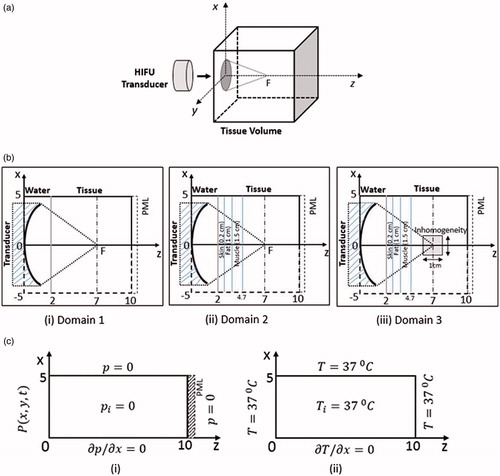 Figure 1. (a) Schematic of the HIFU-subjected tissue phantom geometry for simulations. (b) Schematics of ZX plane (axis-symmetric along z-axis) around y = 0: (b.i) two-layered medium, (b.ii) multi-layered medium and (b.iii) multi-layered with inhomogeneity. (c) Boundary conditions for pressure (c.i) and temperature (c.ii). (All dimensions are in cm).