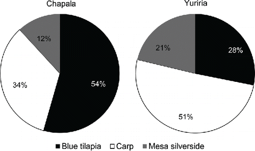 Figure 4 Main fish resources in Lake Chapala (2000–2012) and Lake Yuriria (1992–2012).