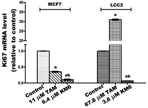 Figure 3. Effect of TAM and KM6 on Ki-67 mRNA expression in MCF7 and LCC2 by real time RT-PCR. Statistical significance of results was analysed using one-way ANOVA followed by Tukey’s multiple comparison test. aSignificantly different from control, b from TAM and (p < 0.05). TAM was used at IC50 (11 µM for MCF7 and 67.6 µM for LCC2). KM6 was used at IC50 (6.4 µM MCF7 and 3.6 µM for LCC2).