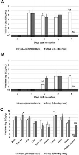 Figure 2. Viral shedding and replication in tissues of American kestrels inoculated with the clade 2.3.2.1 H5 HPAIV. Average viral titres of laryngopharyngeal (A) and cloacal (B) swabs, and tissues (C) were calculated from those of virus-positive samples. The numerator and denominator of fractions above bars indicate the number of virus-positive and surviving individuals, respectively, at that time; the descriptions “3/3” and “0/3” were omitted. Asterisks denote significant differences between groups (Student’s t-test, P < 0.05).