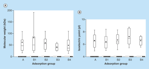 Figure 5.  Protein weight and isoelectric point comparison with adsorption behavior.Median (straight bar in box), mean (black spot) and 90% interval of the molecular weight (y-axis in [A]) and isoelectric point (y-axis in [B]) for the different proteins adsorbed at different incubation times and detected on all the later time points (x-axis). From left to right: A (15–480), B1 (30–480), B2 (60–480), B3 (120–480), B4 (240–480) min. Proteins identified with two unique peptides at least at one time point in the time interval.