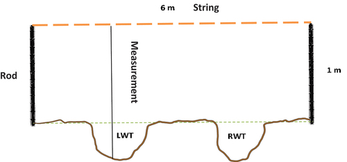 Figure 5. Visual representation of how the soil profile was measured with a taunt string across two metal rods. Measurements were taken across the profile which includes the potential ruts in the left wheel track (LWT) and right wheel track (RWT).