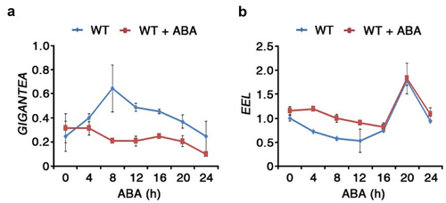 Figure 3. Expression response of GI and EEL to ABA stress response.