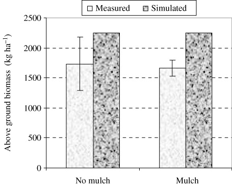 Figure 1. AGB under different utilization systems in 2007 (data from second harvest).