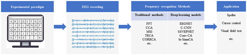 Figure 1. The framework of the SSVEP-based BCI. The system includes four parts: experimental paradigm, EEG recording, frequency recognition method, and application.