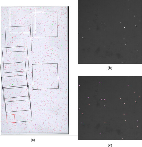 Figure 6. (a) Locations of microscope images superimposed on particle scan with identified particles. Red highlighted section indicates location of (b) microscope image of strip with red bandpass filter applied. (c) Particle counting comparison where red circle indicates match of 22–27 μm particle and violet circle indicates match of 45–53 μm particle.