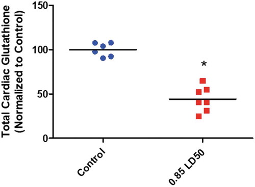Figure 6. Cardiac glutathione levels following exposure to 1080 in male rats. Twenty-four hours after exposure to a 0.85 LD50 dose of 1080, male rats were euthanized, and heart tissue was collected. Total glutathione levels in the heart were assessed from homogenized tissue using a colorimetric assay. We observed a nearly 50% decrease in the total glutathione levels in animals that had been exposed to 1080. This may indicate both cardiac dysfunction and increased fluoroacetate defluorination in the heart tissue. Male rats, Bar = mean, n = 6–7, *p < 0.05 Student’s t test.