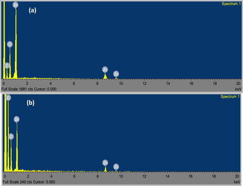 Figure 7. EDX spectra of (a) broc-ZnO and (b) nb-ZnO.