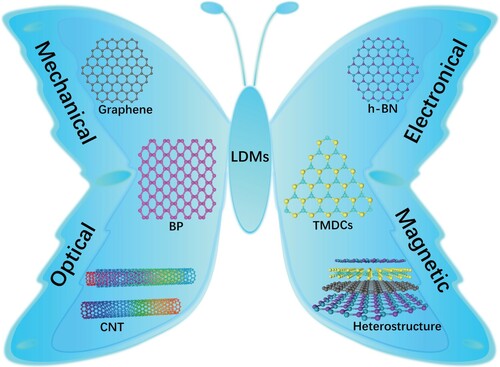 Figure 4. Crystal structures of representative LDMs overviewed in this work, covering CNTs, graphene, h-BN, BP, TMDCs and their heterostructures.