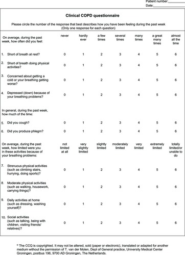 Figure 3 Clinical COPD questionnaire.Citation16