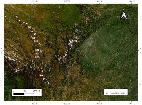 Figure 2. Distribution of the sampling sites on the upper reaches of Jinsha River, China.