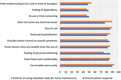 Figure 2 Comparison of benefits and concerns cited by overall patient population and patients using nebulization daily as home maintenance therapy.