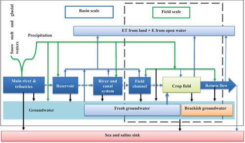 Figure 2. Basin- and field-scale level of the irrigation supply chain that includes water inflow from snowmelt and precipitation into the main river Indus and its tributaries, reservoir water storage, water transport to rivers, canals, and field channels, irrigation on the field, and drainage. In every link and between links of the supply chain losses occur.