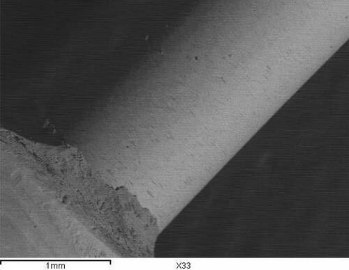 Figure 12 Representative SEM of control group attached to composite core (original magnification 33) demonstrating adhesive type of failure.