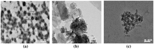Figure 10. TEM images of europium-doped (a) Sr3SiO5, (b) Ca3SiO5, and (c) Mg3SiO5 materials prepared at 950°C.