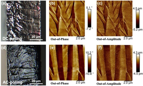 Figure 5. Optical microscopy images for freshly-fractured surfaces of the (a) DC-poled and (d) AC-poled single crystals. Vertical piezoresponse force microscopy (V-PFM) images for the fractured surfaces of the (b) (c) DC-poled and (e) (f) AC-poled crystals.
