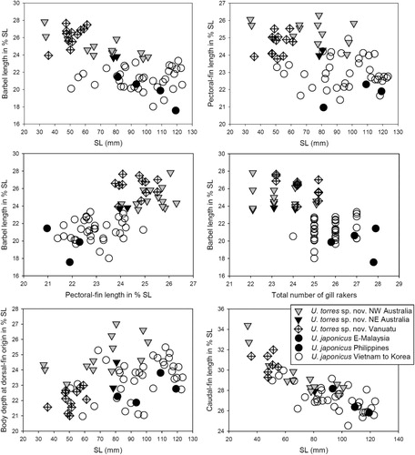 Figure 3. Relationships of morphometric and meristic characters in Upeneus torres sp. nov. and U. japonicus. Specimens of both species from different areas are distinguished by symbols.