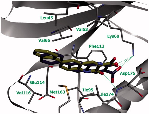 Figure 5. Compounds 4.1а (yellow) and 4.1b (pale gray) in ATP-binding site of CK2 (the complex was obtained by molecular docking, hydrogen bonds are indicated by green dotted lines).