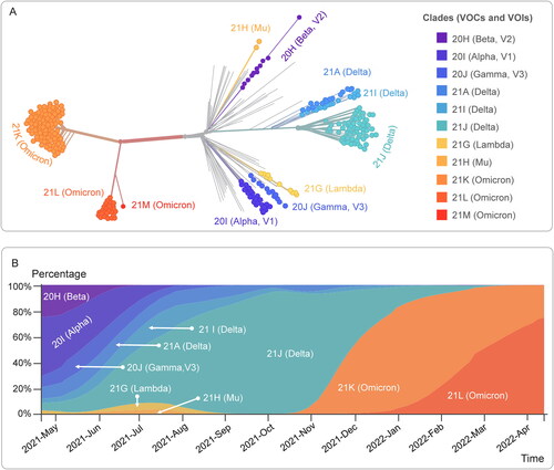 Figure 2. The evolutionary relationships of SARS-CoV-2 from the ongoing COVID-19 pandemic. (A) The data used herein were obtained from 2716 genomes sampled between Dec 2019 and Dec 2021. Each genomic sample was showed by a solid dot and colored by Emerging Lineages. (B) The frequencies of variants sampled between Jan 2021 and Dec 2021 were presented by different colors. All of data was obtained on April 20, 2022.