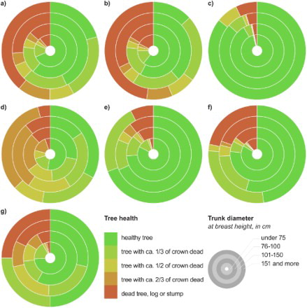 Figure 2. Tree health dependence on the species trunk diameter; (a) all species, (b) oaks (Quercus spp.), (c) narrow-leaved ash (F. angustifolia), (d) willows (Salix spp.), (e) Elm (Ulnus spp.), (f) Poplars (Populus spp.) and (g) other species.