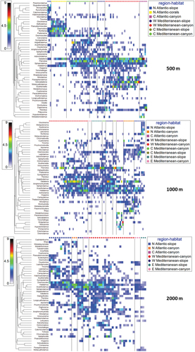 Figure 5. Shade plots based on the nematode genus composition at different depth intervals: 500, 1000 and 2000 m. Colours indicate genus abundance as reported in the legend.