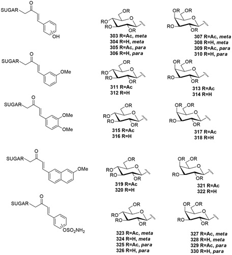 Figure 11. General structure of C-glycosyl CA inhibitors.