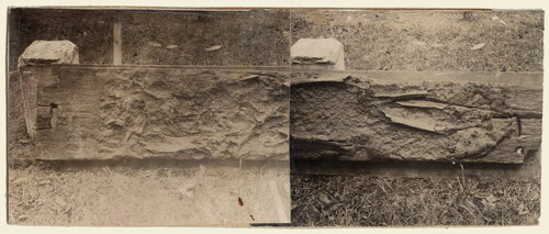 Fig 3 Oostkapelle-Berkenbosch: composite photograph of ZAD00066 with the skeletal remains concreted to the coffin base board (shown lying on its side edge after excavation in the 1920s). The leg bones can be seen pointing towards the right of the image. The ends of the plank have apparently been scraped clean by this time, possibly during excavation. © Zeeuws Archief, Zeeuws Genootschap, Zelandia Illustrata III, no 477b.