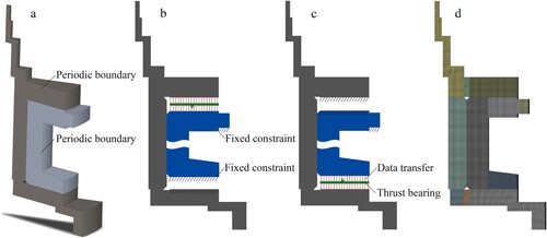 Figure 4. Static models of the fluid–structure interaction (FSI) models.