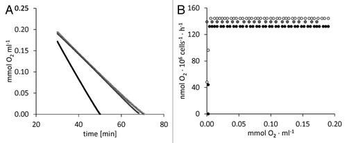 Figure 1. Three liquid cultures of C. reinhardtii strain CC-124 were grown in Tris Acetate Phosphate (TAP) medium on a horizontal shaker at 20 °C and with bottom-up illumination of 80 µmol photons ? m?2 ? s?1 up to a cell density of 2.5 (light gray symbols), 2.7 (dark gray symbols), or 3.5 (black symbols) ? 106 cells ml?1. 2-ml aliquots of the cell suspensions were transferred to the sealed measuring cell of a Hansatech O2 electrode according to Philipps et al., 2011.Citation19 O2 uptake was monitored in darkness until O2 became undetectable (A). (B) O2 uptake rates were calculated each minute and plotted against the respective O2 concentration.