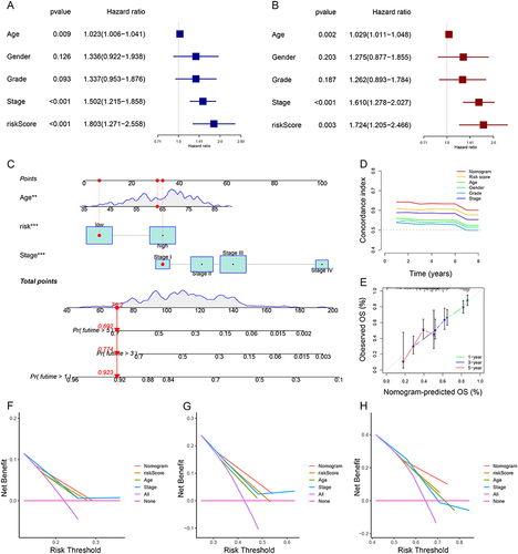 Figure 5 Establishment and validation of the nomogram based on seven NETs-related genes signature. (A and B) Univariate and multivariate Cox regression analyses for the signature and clinical features by forest plots. (C) Nomogram to predict 1-, 3-, and 5- year OS of GC patients. (D and E) C-index and Calibration plots analysis to assess the accuracy of nomogram in GC patients. (F–H) DCA curves to assess the accuracy of the nomogram to predict 1-, 3-, and 5- year OS in GC patients (**P < 0.01, ***P < 0.001).