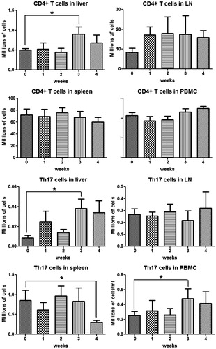 Figure 10. CD4+ T-cells and TH17 cells in different organs during 4 weeks AQ treatment in BN rats. TH17 cells were characterized as CD4+/IL-17+. Values shown are means ± SE (n = 8 animals per group). Data were analyzed for statistical significance by a Mann–Whitney U-test. Value is significantly different from the control group; *p < 0.05.