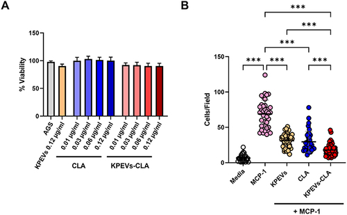 Figure 6 Bioactivities of KPEVs-CLA against THP-1 cells (A) Cell viability of THP-1 after incubation with different CLA and KPEVs-CLA concentrations at 24 h, evaluated using the MTT assay. (B) Monocyte chemotaxis inhibitory effect of treatments performed using the Transwell assay (***p ≤ 0.001). The results are presented as mean ± SD of three independent experiments. Statistical analysis was performed using one-way ANOVA with Bonferroni post hoc tests.