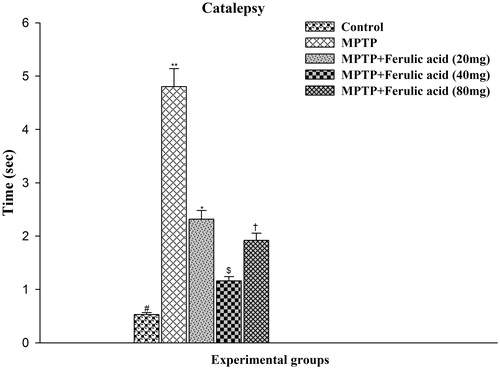 Figure 4. Catalepsy test performance in experimental mice: Values are given as mean ± SD for six mice in each group. Error bars sharing common symbol do not differ significantly at p < 0.05. #Significantly p < 0.05 differ from MPTP and MPTP + ferulic acid-treated groups. **Significantly p < 0.05 differ from control and MPTP + ferulic acid groups. *Significantly p < 0.05 differ from control, MPTP, and MPTP+ferulic acid (40 mg/kg and 80 mg/kg body weight). $Significantly p < 0.05 differ from control, MPTP, and MPTP+ferulic acid (20 mg/kg and 80 mg/kg body weight) groups. †Significantly p < 0.05 differ from control, MPTP, and MPTP+ferulic acid (20 mg/kg and 40 mg/kg body weight) groups.
