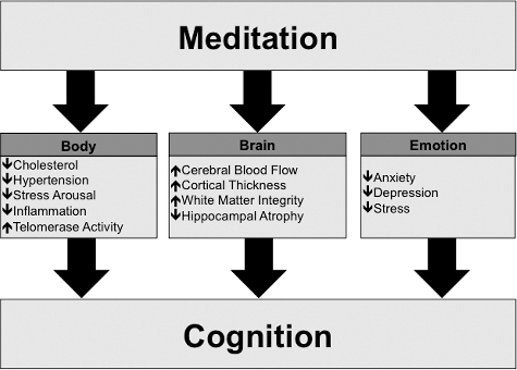 Figure 1. Schematic model for the effects of meditation on cognition. (Adapted from Marciniak et al. (Citation2014).)
